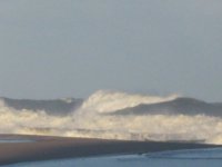 IMG_0910.JPG