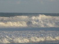 IMG_0921.JPG