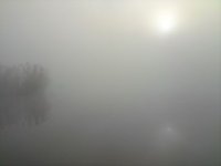 DSC00051.JPG
