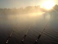 DSC00058.JPG