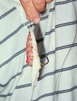 Bait02.jpg