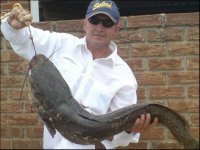 allens barbel.jpg