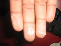 Picture 001 (Medium).jpg