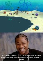 sponge1.jpg