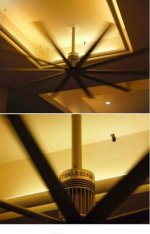 bigfan.jpg