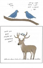 bird.jpg