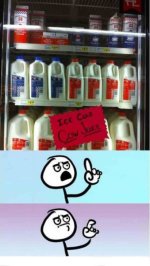 cow1.jpg