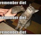 diet copy.jpg