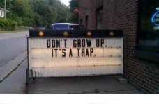 dont1.jpg