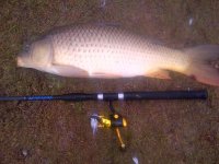 Brackenfell-20120708-00811.jpg