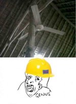 fan1.jpg
