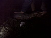 IMG00413-20120923-1858.jpg