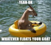 goat.jpg