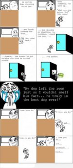 dogfart.jpg