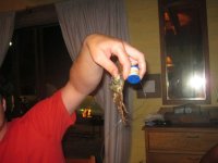 IMG_1456 (FILEminimizer).jpg