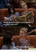 phoebe.jpg