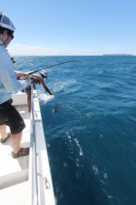 Sailie on sustain.JPG