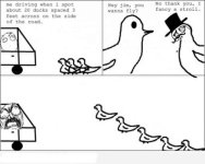 ducks.jpg