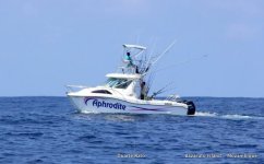 IMG_0365.JPG