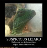 Suspicion.jpg