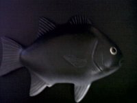IMG-20120911-00003.jpg