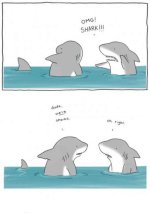 sharky1.jpg