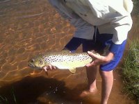 IMG00559-20121213-0926.jpg