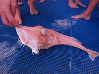 IMG_7446.JPG