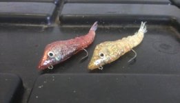 soft plastic prawn.jpg