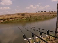 Valr river bank.JPG