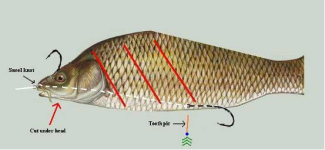Carp rig 2.png