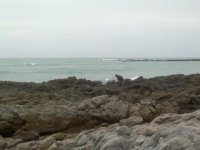 2013-02-09-477.jpg