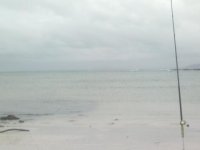 2013-02-09-480.jpg