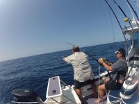 GOPR0687.jpg
