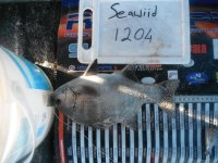 DSCF0768.JPG
