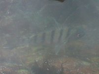 IMG-20130209-00623.jpg