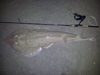 Sandshark 104cm Nahoon 261212.jpg