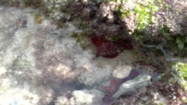 26052012045.jpg