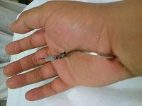 IMG-20130210-00633.jpg