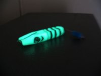IMG_0065.JPG