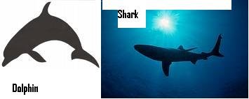 compare.JPG