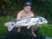 KOI%209.jpg