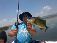 1.5kg large mouth bass.jpg