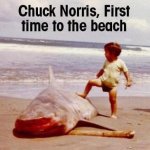 chuck_zpsb9a82f95.jpg