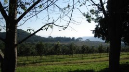 Thika Tika trek 042.jpg