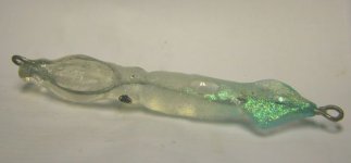 Dart Squid 3.JPG