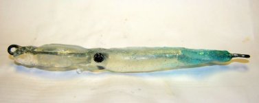 Dart Squid 2.JPG