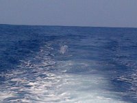 IMG-20130223-00350.jpg