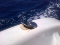 IMG-20130218-00304.jpg