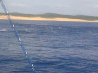 IMG-20130220-00327.jpg